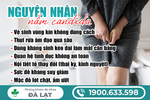 Hình ảnh minh họa